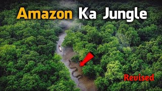 Dangerous Animals of Amazon Jungle  EP 85 [upl. by Chard382]