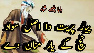 vasda Rab insan de vich ae  Punjabi Kalam 2024  Baba Bulleh Shah بابا بلھے شاہAlifAllah9597 [upl. by Bach]