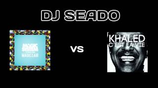 Magic In The Air vs Cest La Vie DJ Seado Mashup [upl. by Trimble]