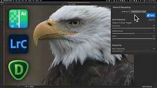 Comparison On1 NoNoise AI vs Topaz Denoise AI vs Lightroom Denoise AI [upl. by Mozart]