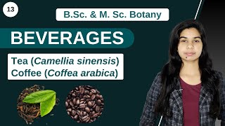 Economic Botany  BEVERAGES  Tea  Coffee  B Sc amp M Sc [upl. by Moritz289]