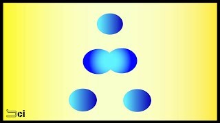 MITOSIS  Cell division explained in Tamil [upl. by Heron]