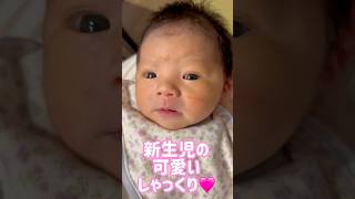 【新生児】しゃっくりが可愛すぎる新生児 新生児赤ちゃん 赤ちゃん 赤ちゃんのいる生活 cutebaby babygirl babyshorts shorts [upl. by Enelia]