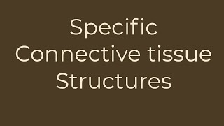 specific connective tissue structures [upl. by Balcer822]