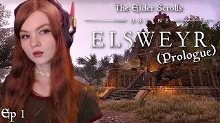 PREPARING FOR ELSWEYR  Lets Play Elder Scrolls Online Elsweyr Prologue  Ep 1 [upl. by Frankel]