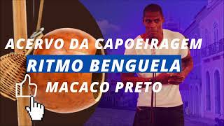 MACACO PRETO CANTANDO LINDAS CANTIGAS SÓ SUCESSO [upl. by Oiluig296]