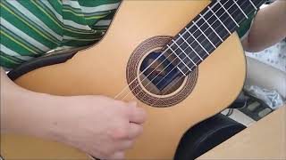 Aiersi SC100SPF Guitar  Smallman Replica Classical Guitar  Review [upl. by Adnilev]