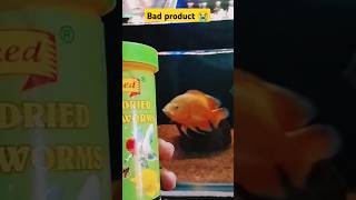 Bad food oscar fish Oscar fish feeding  shortsfeed shortsviral short shorts [upl. by Yrrah]