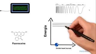 FLUORESCENCIA FOSFORESCENCIA [upl. by Apilef]