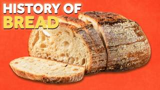 How Civilization Was Created By Bread [upl. by Nossila]