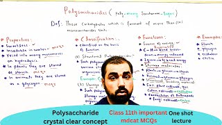 Polysaccharide  properties  classification  function  Examples  class 11  in Urdu Hindi [upl. by Brett987]