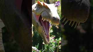 Dinosaurs educational for toddlers  Dinosaurs for preschoolers [upl. by Vashtee]