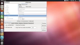 How to Rename in Ubuntu [upl. by Hayimas442]