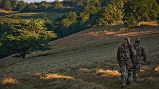 Roebuck stalking with Cervusuk [upl. by Notsek]