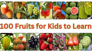 Fruit Frenzy 100 Fruits for Kids to EXPLORE and Learn [upl. by Dacie644]