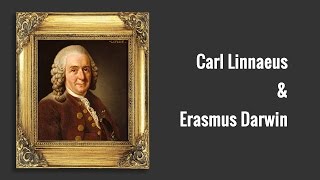 Carl Linnaeus and Erasmus Darwin [upl. by Aicac808]