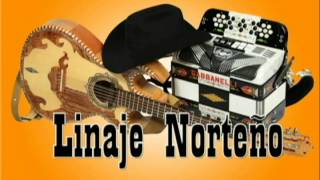 LINAJE NORTEÑO tema MUNDO MALOavi [upl. by Sergu858]