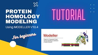 Protein Homology Modeling with Modeller 104  For Beginners [upl. by Laurance]