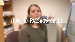 Passaging Cells [upl. by Issor]