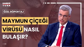 Maymun Çiçeği virüsü Türkiyede hangi önlemler alınmalı  Özel Röportaj  17 Ağustos 2024 [upl. by Czarra516]