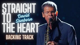 Straight to the Heart  David Sanborn [upl. by Reedy]