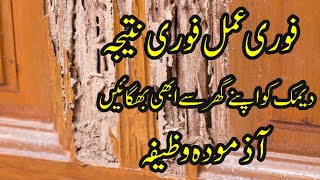 Instant Termite Control Demak ka Fori ilaj  Urdu  Hindi  Tips Vision [upl. by Gabrielson]