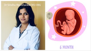 6th Month of Pregnancy in Kannada  21 to 25 weeks of Pregnancy  Dr Sindhu Ravishankar [upl. by Velick]