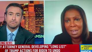 The Beat with Ari Melber feat NY AG Tish James [upl. by Kimura]