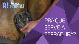 FERRADURAS SERVEM PRA QUE [upl. by Stafani]