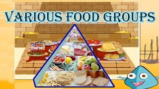 Food Pyramid The 5 Different Food Groups Learn the Healthy amp Unhealthy Foods Video for Kids [upl. by Talanian]