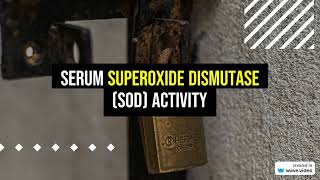 Serum Superoxide Dismutase SOD activity [upl. by Bevis]