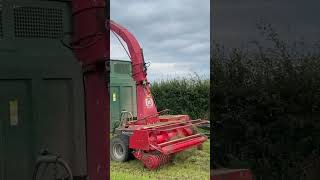 Cumbrian Silage 2024 MF 7720S amp Kongskilde FCT1060 drag chopper [upl. by Yhtimit]