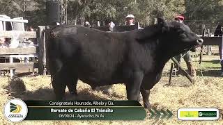 060924  Remate de Cabaña El Tránsito  Consignataria Hourcade Albelo y Cía  Ayacucho BsAs [upl. by Anastassia]