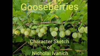 Character Sketch of Nicholai Ivanich Gooseberries  Plus One English [upl. by Alastair]