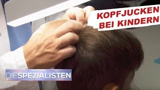 Permanentes Kopfjucken  Läusebefall  Auf Streife  Die Spezialisten  SAT1 TV [upl. by Lettig]