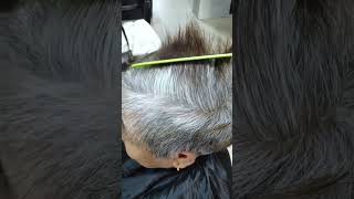 Hair Dye Shampoo Gray to Black 3 in 1 Herbal Dyeing  Easy Hair Dye [upl. by Haugen]