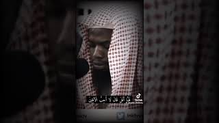 Sheikh Okasha kameny [upl. by Asenaj]