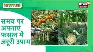 ANNADATA समय पर अपनाएं फसल में जरूरी उपाय Oct 31 2019 [upl. by Oitaroh]