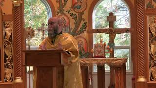 Sermon for Sixth Sunday of Luke on October 20 2024 Luke 82639 [upl. by Dotson]