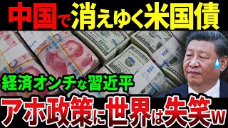 中国が米国債を大量に売却！習近平の愚策により経済崩壊が猛加速へ【ゆっくり解説】 [upl. by Atteniuq]