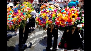 Se acerca el desfile y así se preparan los campesinos de Santa Elena  Noticias Caracol [upl. by Hcirteid696]