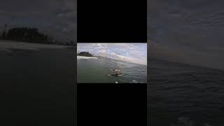 One very busy wave out at Snapper Rocks surfing povsurfing [upl. by Conroy]