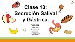 CLASE 10 SECRECIÓN SALIVAL Y GÁSTRICA FISIO II U3 [upl. by Rosdniw]