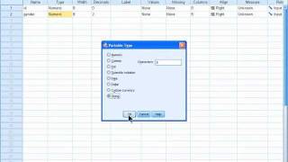 SPSS 19 Training  Keying Numeric and String Values [upl. by Jaime]