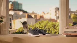 allbirds breezy uk 10s ad [upl. by Bogey]