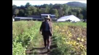 Mark Mulcahy  In Pursuit of your Happiness Official Video [upl. by Neeven]