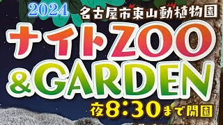 東山動植物園 ナイトZOO（2024） 最高気温38度の日 [upl. by Griffin]