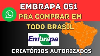 ONDE COMPRAR EMBRAPA 051 [upl. by Yale391]