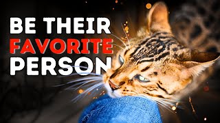 How Cats Choose Their Favorite And How to Become The One They Love [upl. by Kaylil]