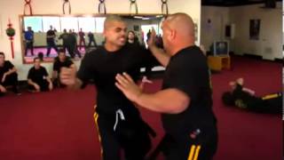 ▶ Moores Martial Arts Shou Shu demonstration [upl. by Hsital]